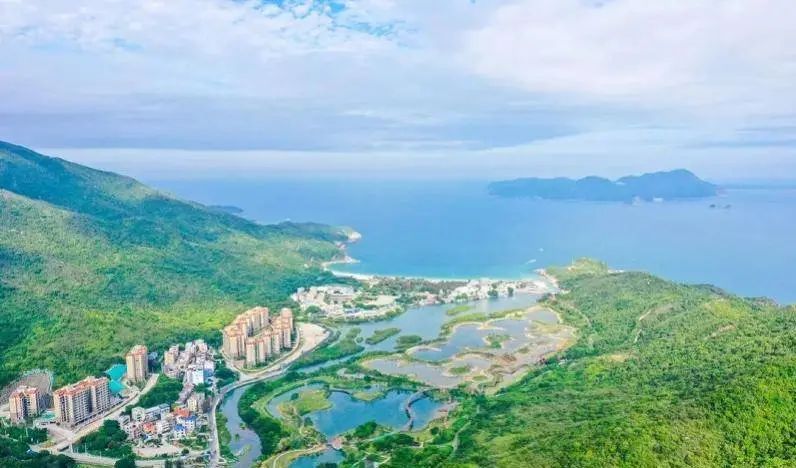 即將對外開放！深圳大鵬新建一紅樹林濕地公園